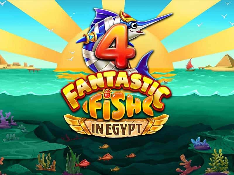 4 Fantastic Fish in Egypt
