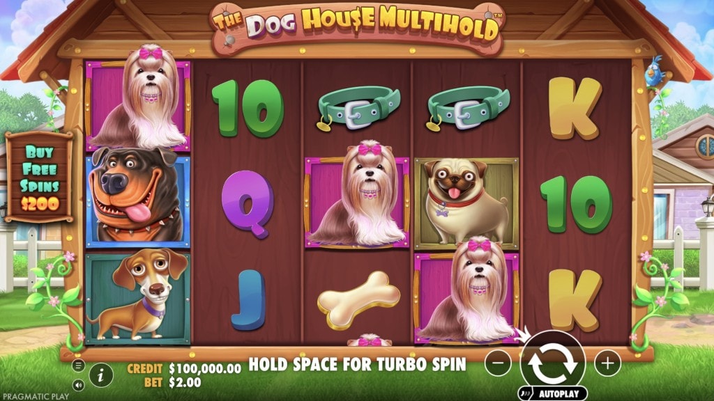The Dog House Multihold PrieksĢskatiĢjums