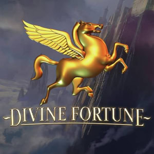 Divine Fortune logo